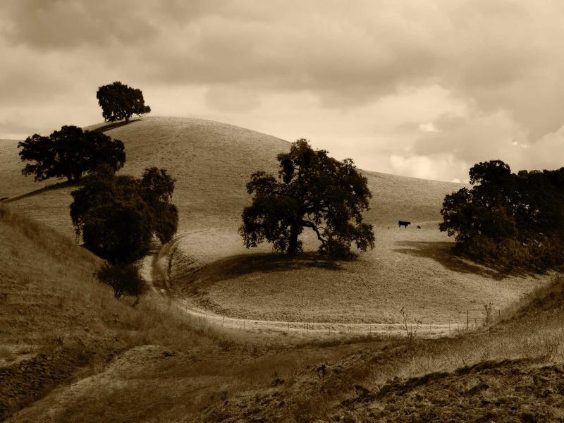 sudoku lunch break screenshot 5