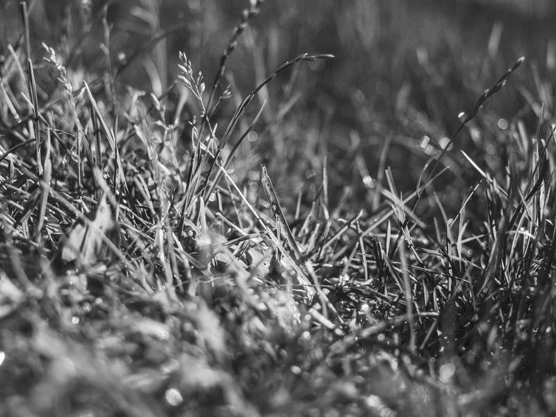 sudoku solution check