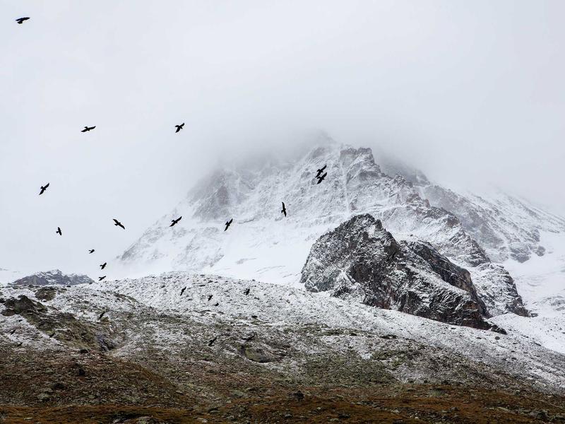 privacy screenshot 5